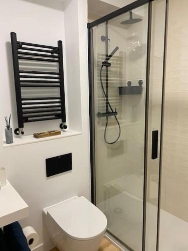 a bathroom with a toilet and a glass shower at Apartamento Miño in Tui