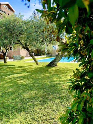 a green yard with trees and a swimming pool at Villa C Luxury Estate in SantʼAntonio Abate