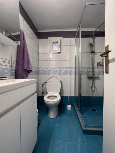 un baño con inodoro y ducha en CosinesHouse, en Leonidio