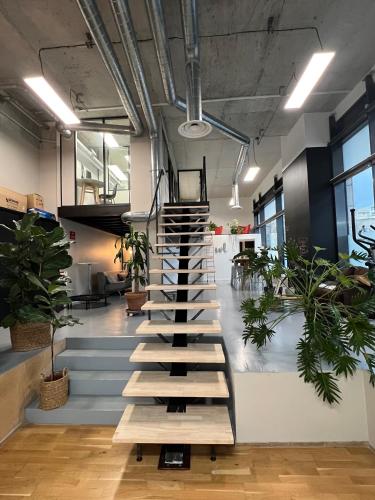 Loft New York à Marseille