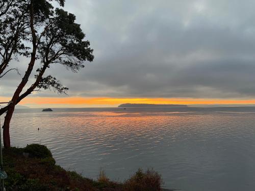 a sunset over the water with a tree in the foreground at Puget Sound Chic Romantic Cottage with Private Beach Access & Gated Entry in Port Ludlow