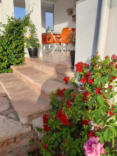 Gallery image of Villa Shehu in Ksamil