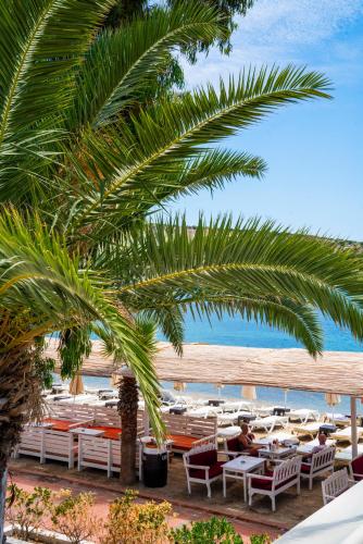 a beach with a bunch of chairs and a palm tree at Manuela Boutique Hotel Bitez in Bitez