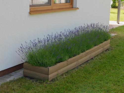 Zahrada ubytování Forest House Sasino-SPA Sauna Balia