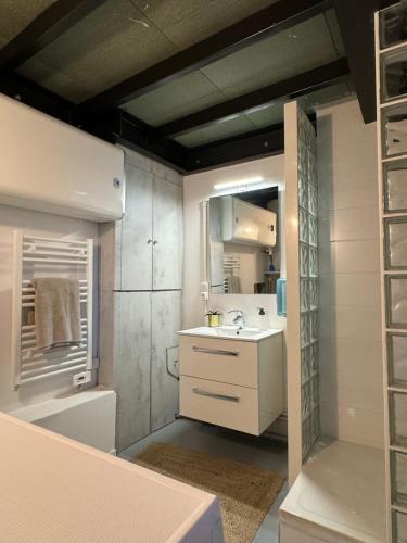 une salle de bain avec un lavabo, des toilettes et un miroir dans l'établissement Loft New York à Marseille, à Marseille