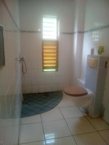 a bathroom with a toilet and a window at My Zayanda in Les Abymes