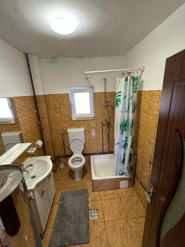 a bathroom with a toilet and a sink and a shower at Ela’s retreat in Dealu Mare