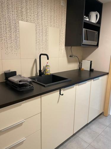 Lake and Spa Apartmanにあるキッチンまたは簡易キッチン