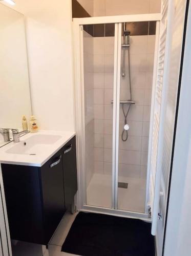 une salle de bain avec douche et lavabo dans l'établissement Spacious Near Center Terrace et Parking, à Rennes