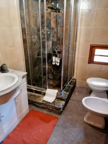 a bathroom with a shower and a toilet and a sink at Casa da Carolina in Lousã