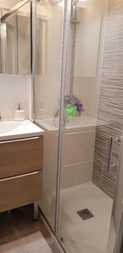 une salle de bain avec douche et lavabo dans l'établissement lililoucap, au Cap d'Agde