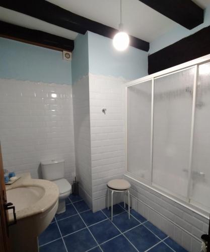 a bathroom with a toilet and a shower and a sink at Iturrizar Alojamiento Rural in Errazu