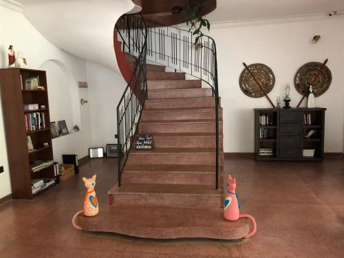 a staircase with two cats sitting on a rug in a living room at Murphy's Transit Villa Airport Pick & Drop Katunayake in Katunayake