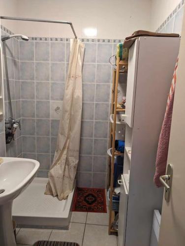 La petite salle de bains est pourvue d'une douche et d'un lavabo. dans l'établissement Pitchoun Oustaou du Champsaur, à La Fare-en-Champsaur