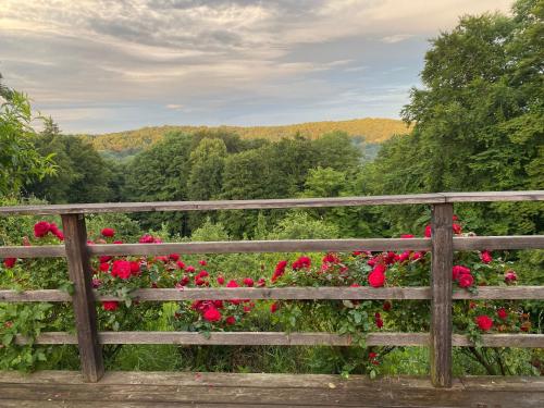 a wooden fence with red roses in a garden at Ferienhaus Baumgarten1 in Gnas