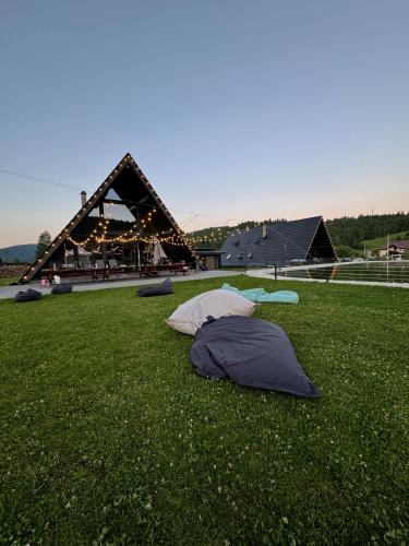 two pillows laying on the grass in front of a building at Treeline Cabins in Cădăreşti