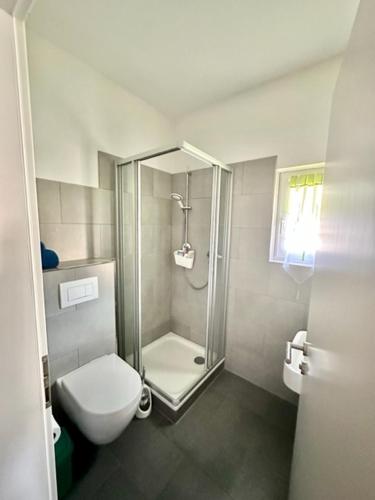 a white bathroom with a shower and a toilet at Ferienwohnung Mosel in Piesport