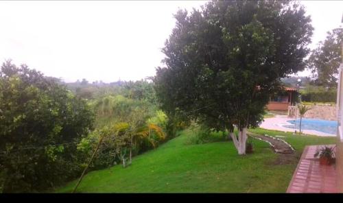 a yard with a tree and a swimming pool at Finca Hotel el Amanecer in Quimbaya