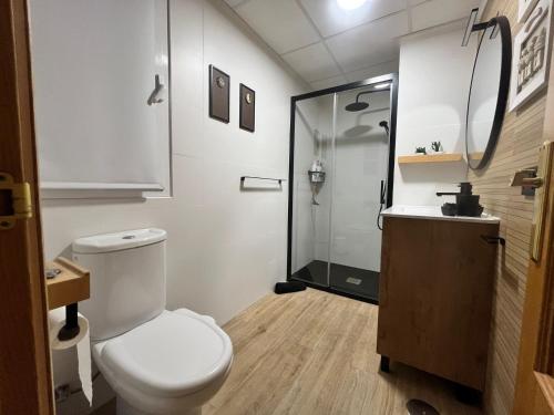 a small bathroom with a toilet and a shower at Apartamento Kariba Antigua Casa Anita in Güéjar-Sierra
