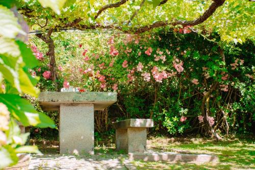eine Steinbank vor einem Busch mit rosa Blüten in der Unterkunft Just Like Home - Casa da Raposa in Caminha