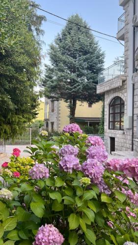a garden of pink flowers in front of a building at Villa Sazanka with private pool in Kamenari
