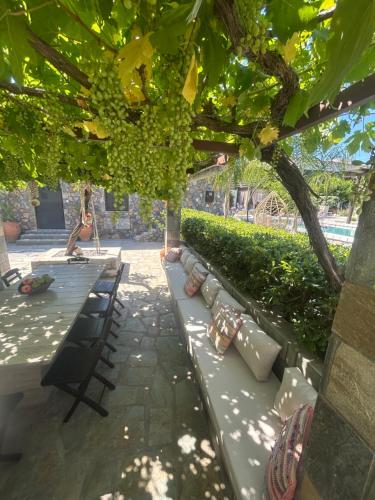 a row of benches under a tree with plants at Aithonas Villa in Archangelos