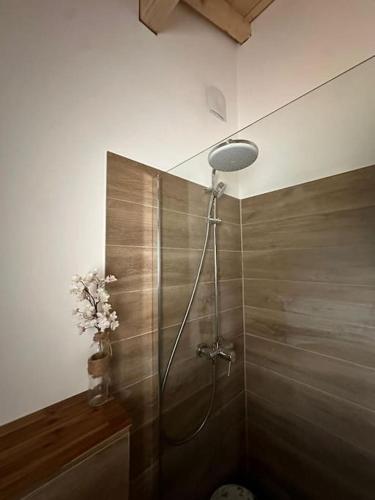 La salle de bains est pourvue d'une douche avec une fleur dans un vase. dans l'établissement apparement 6 personnes avec jardin, à Ondres