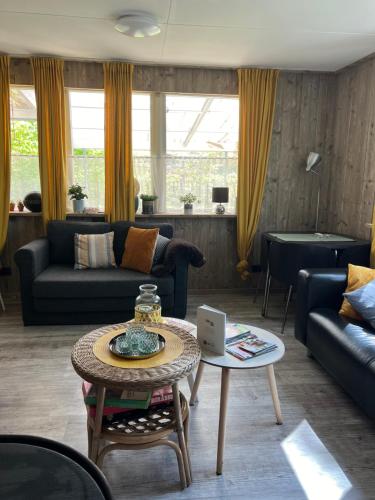 a living room with a couch and a table at Ruime Chalet i/h bos met grote tuin en zwembad in Enschede