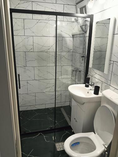 a bathroom with a shower and a toilet and a sink at Apartament HD3 in Hunedoara