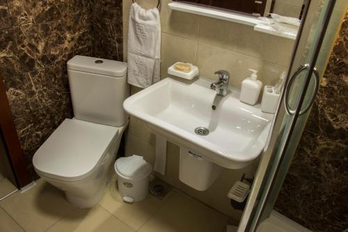 a bathroom with a toilet and a sink at Apartment Iva in Ohrid