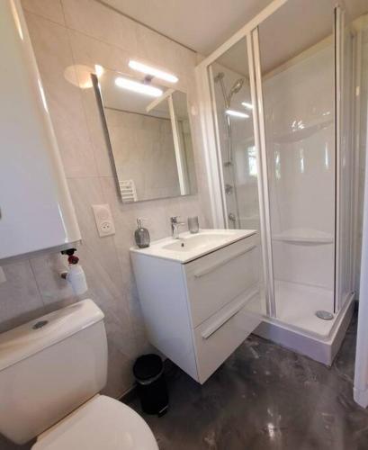 une salle de bain avec toilettes, lavabo et douche dans l'établissement Studio 2 personnes, à Saint-Amand-sur-Sèvre