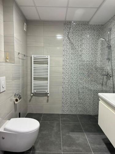 un bagno con wc e doccia di TB apartment a Skopje