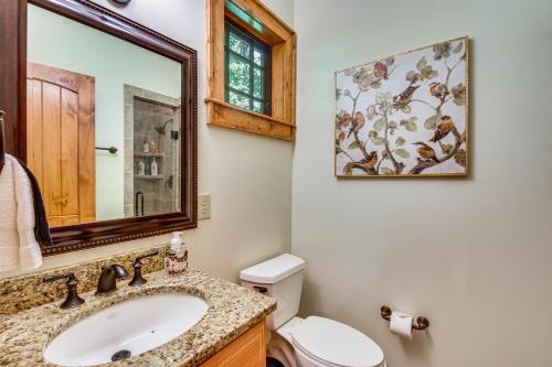 a bathroom with a sink and a mirror and a toilet at Luxe Trillium Home with Fire Pit, 5 Mi to Cashiers in Cullowhee
