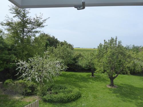 Taman di luar Ferienhütt