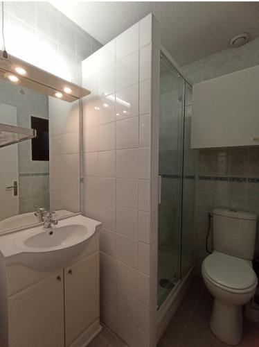 une salle de bain avec un lavabo, des toilettes et une douche dans l'établissement Cap d'Agde Port Lano T2 clim, piscine, tennis et parking, au Cap d'Agde