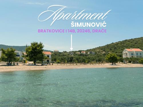 a view of the beach from the water at Apartment Šimunović in Drače