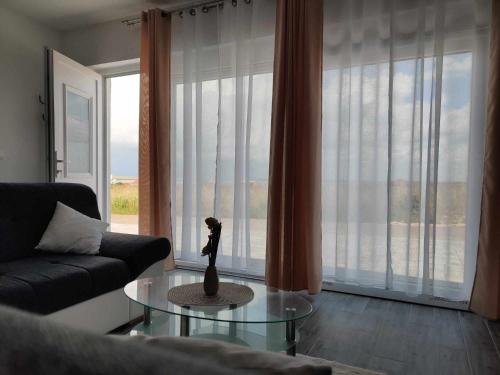 a living room with a couch and a glass table at Apartments Mišković in Vir