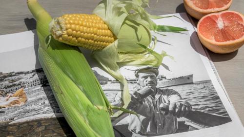 Fotografie z fotogalerie ubytování Alkyonis Visus House v destinaci Triovasálos