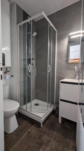 une salle de bain avec une douche, des toilettes et un lavabo dans l'établissement Studio avec linge de maison fourni et tout équipé aux pieds des pistes, à Villard-de-Lans