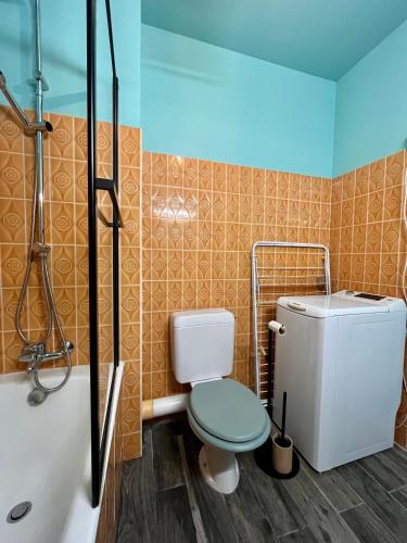 une salle de bain avec toilettes et douche dans l'établissement Le Nid de Plage à 100 m de la mer, à Cabourg