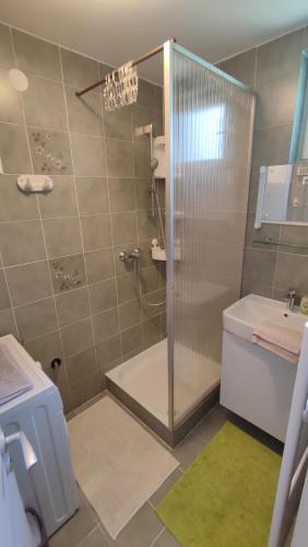 a bathroom with a shower and a toilet and a sink at HauSol Vendégház in Gárdony