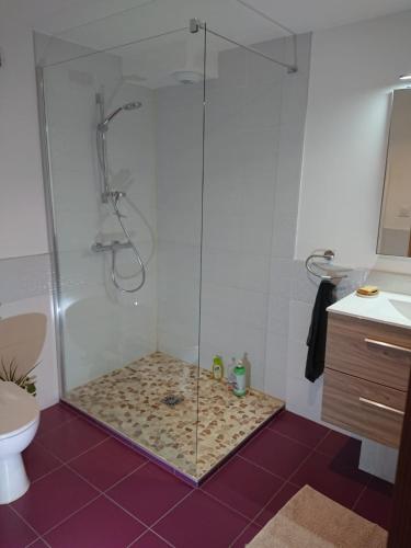 une douche avec une porte vitrée dans une salle de bain dans l'établissement La Peyrolle, à Aouste-sur-Sye