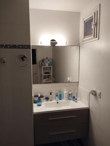 une salle de bain avec un lavabo et un miroir dans l'établissement Chambre à louer Lit double, à Noisy-le-Grand