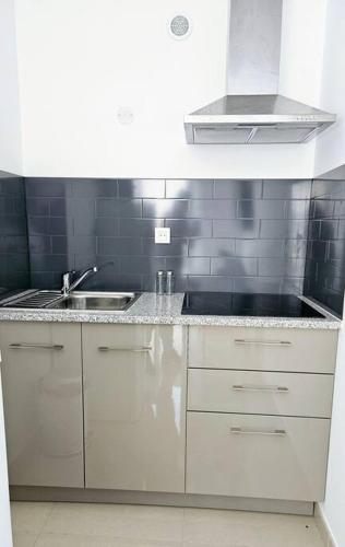 une cuisine avec un évier et un plan de travail dans l'établissement Studio 