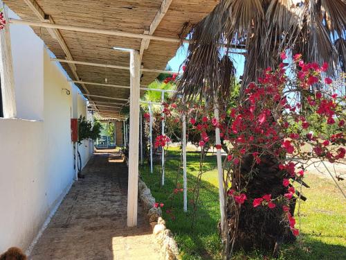 Galeriebild der Unterkunft HOTEL SoleMare Gallipoli in Gallipoli