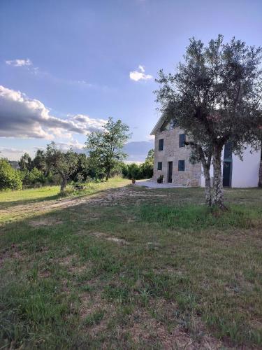 an old stone house with a tree in a field at Arpuro in Gouveia
