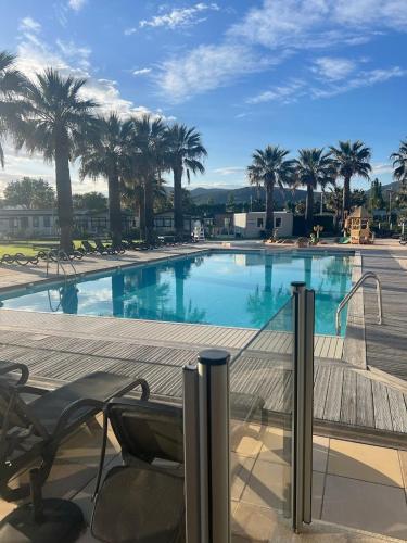 - une piscine avec une chaise et des palmiers dans l'établissement Premium Mobilhome Grimaud, à Grimaud
