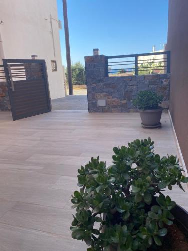 a potted plant sitting on a patio with a building at Blue Sand Apartment in Analipsi