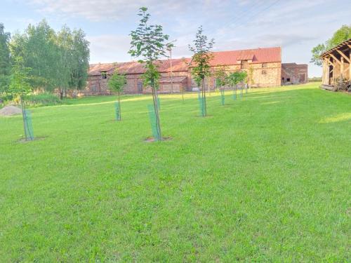 a row of trees in a field in front of a building at Agroturystyka Słupeczka in Okoleniec