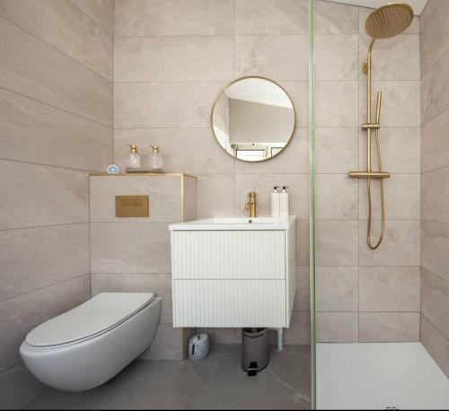 a bathroom with a toilet and a sink and a mirror at Aviva Stadium Mews Dublin - #avivamews in Dublin